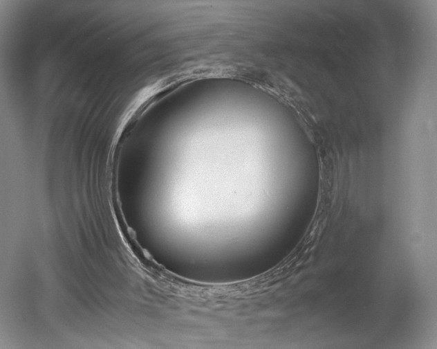X0000052920003200507151603