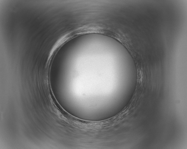 X0000052920004200507151603