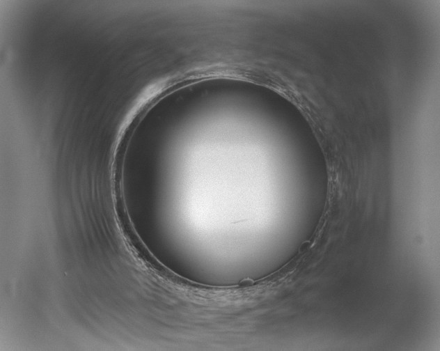 X0000052920006200507151602