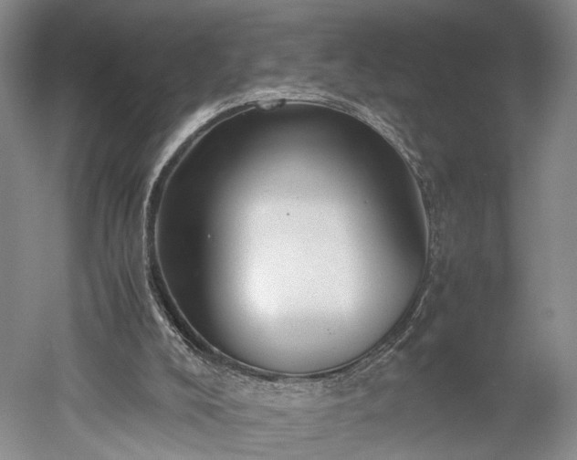 X0000052920008200507151602