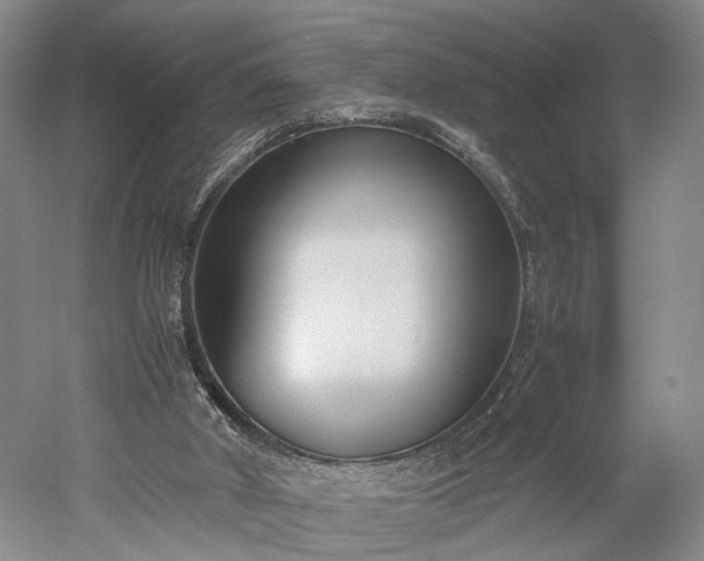 X0000052920010200507151602