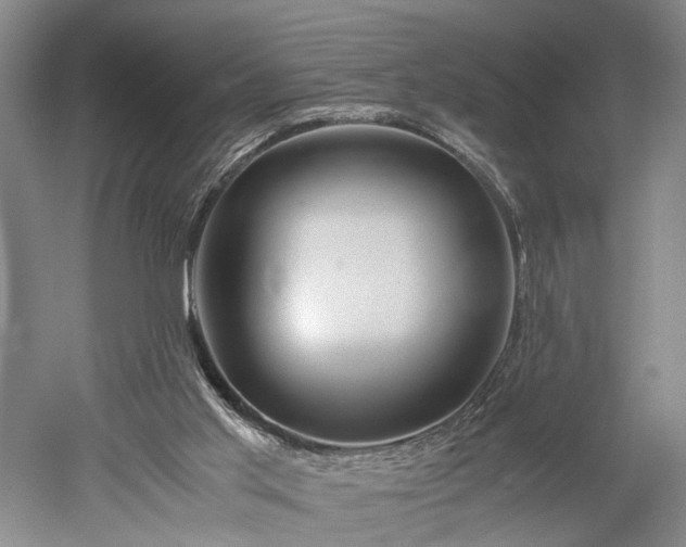 X0000052920013200507151602