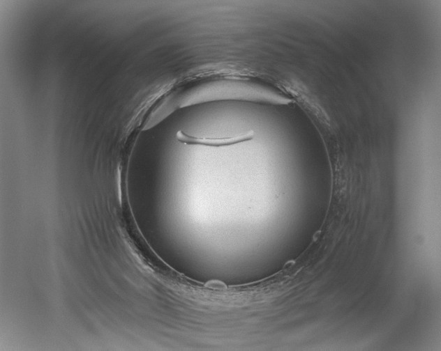 X0000052920014200507151602