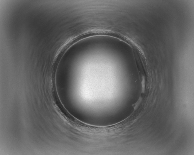 X0000052920015200507151602