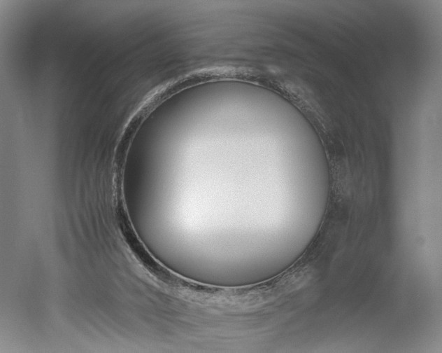 X0000052920016200507151602