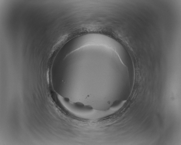 X0000052920019200507151602
