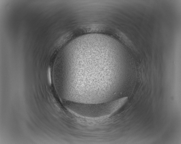 X0000052920022200507151602