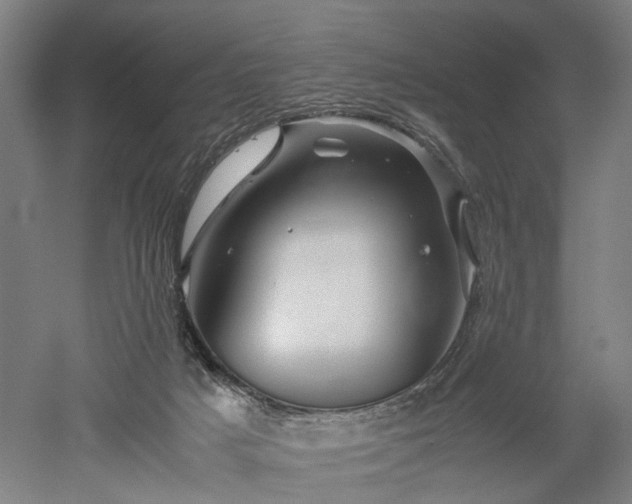 X0000052920025200507151602