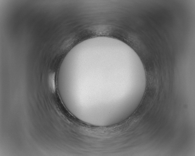X0000052920028200507151602