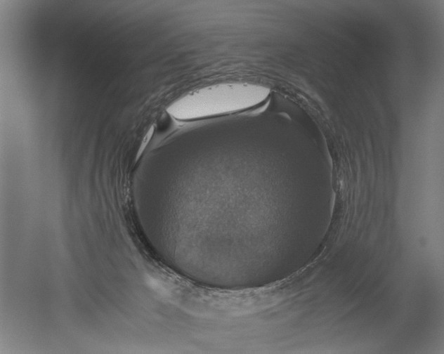 X0000052920029200507151602