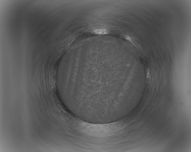 X0000052920030200507151602