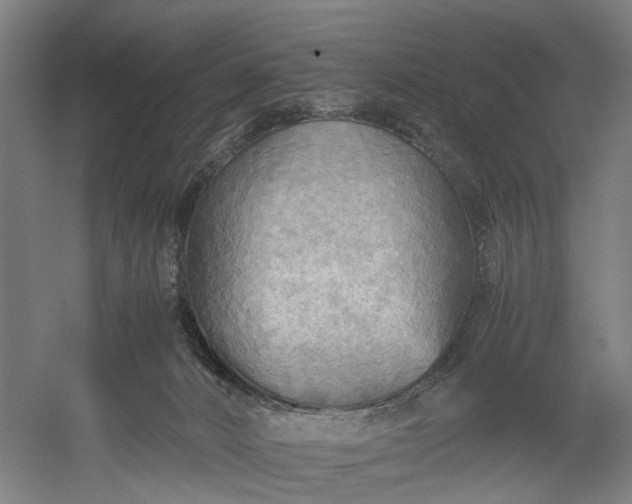 X0000052920032200507151602
