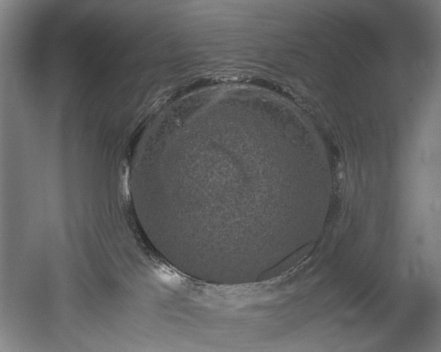 X0000052920041200507151602