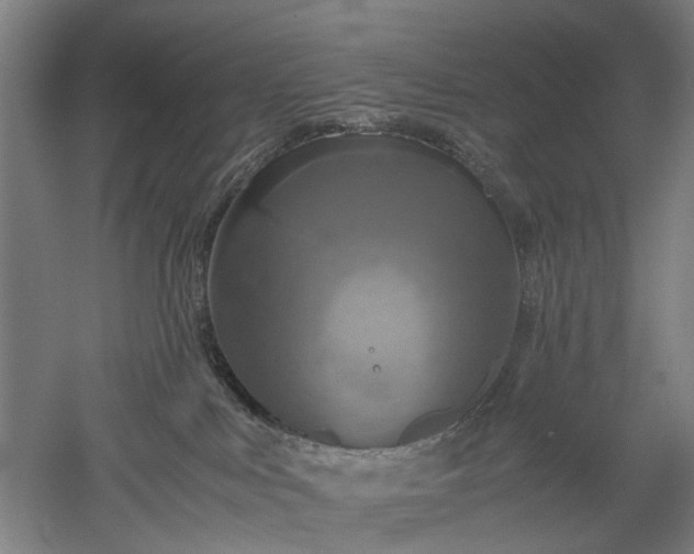 X0000052920043200507151602