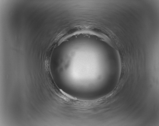 X0000052920045200507151602