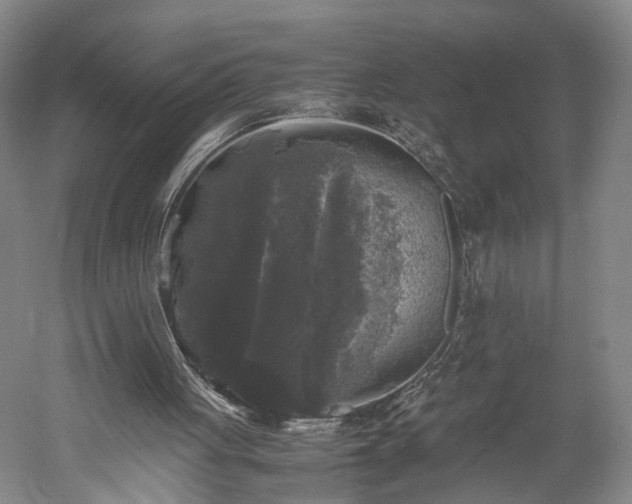 X0000052920051200507151601