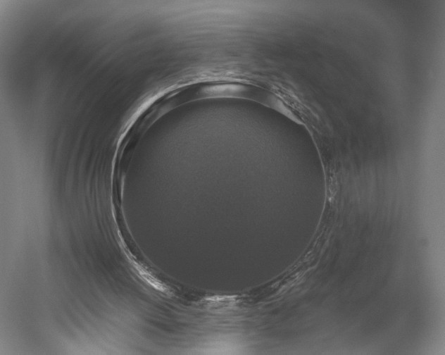 X0000052920052200507151601