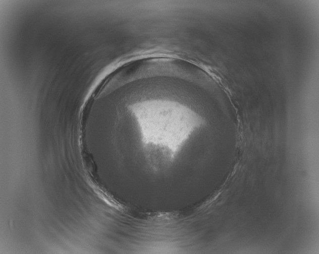 X0000052920056200507151601