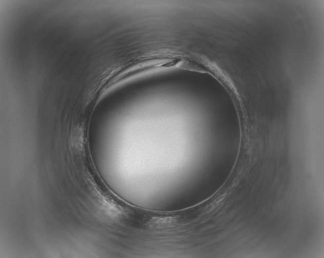 X0000052920057200507151601