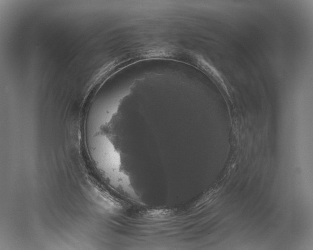 X0000052920059200507151601