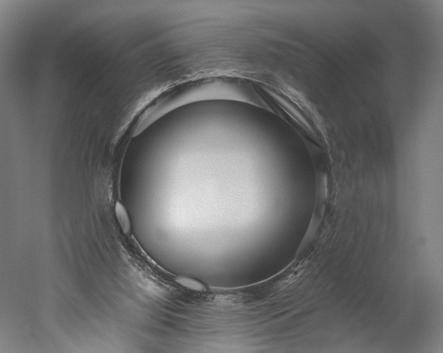 X0000052920060200507151601
