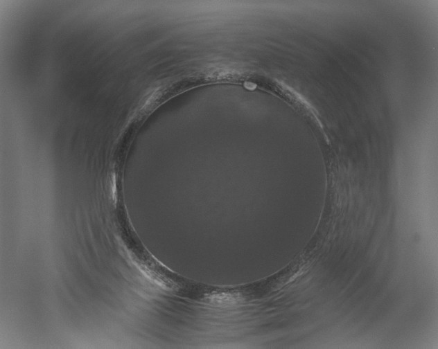 X0000052920067200507151601