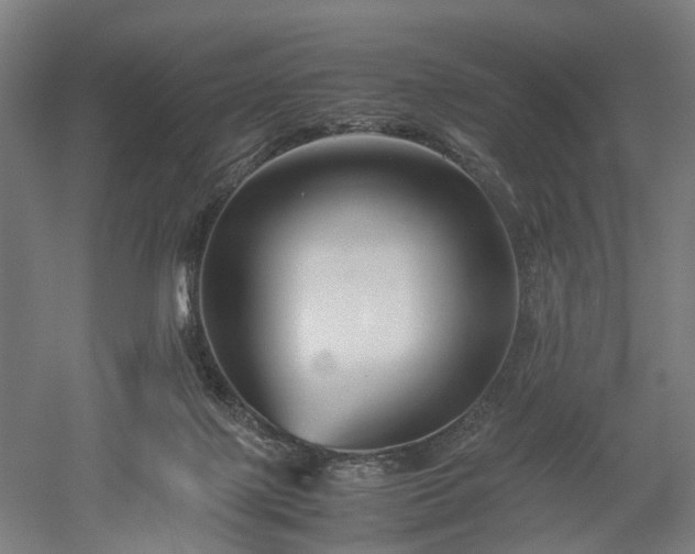 X0000052920075200507151601