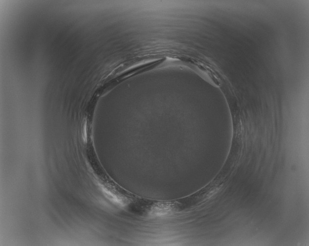 X0000052920076200507151601