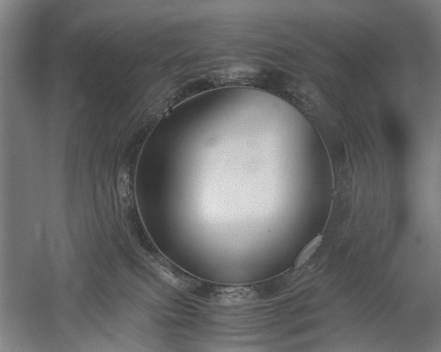 X0000052920087200507151602