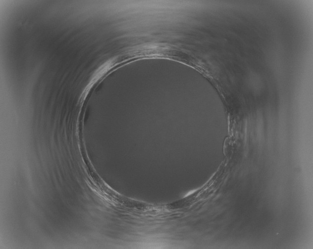 X0000052920099200507151601