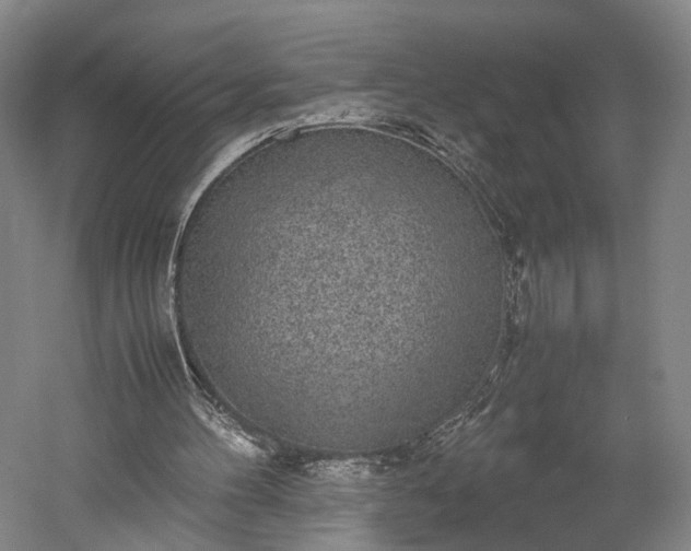 X0000052920100200507151601