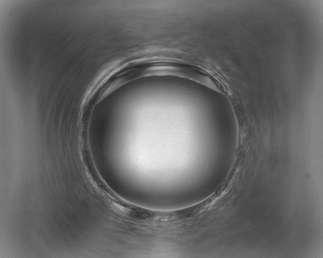X0000052920101200507151601