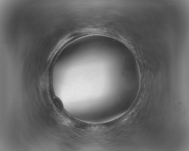 X0000052920103200507151601