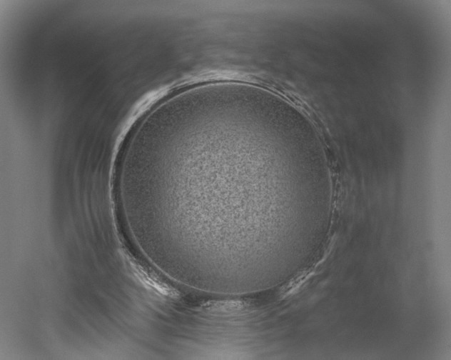 X0000052920104200507151601