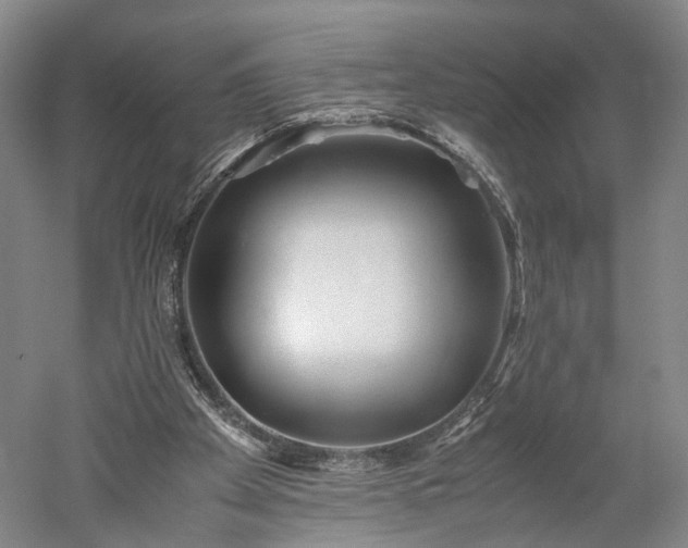 X0000052920105200507151601