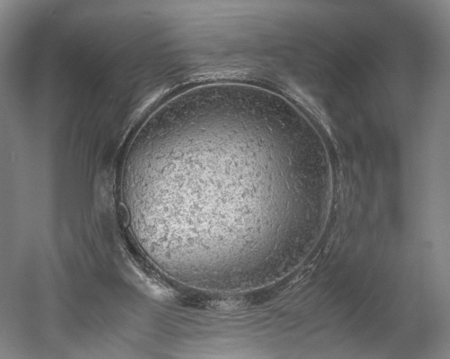 X0000052920107200507151601