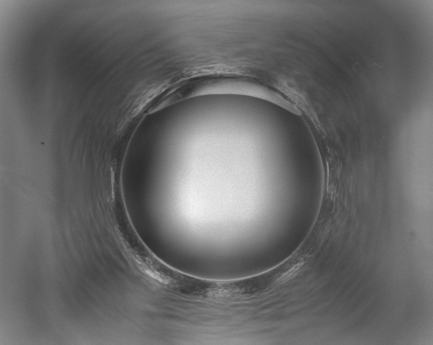 X0000052920109200507151601