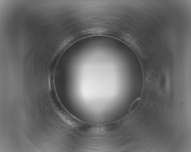 X0000052920110200507151601