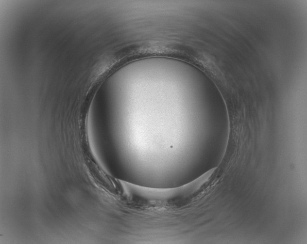 X0000052920111200507151601