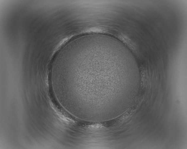 X0000052920112200507151601