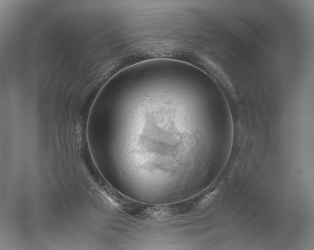 X0000052920113200507151601