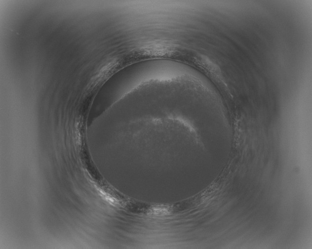 X0000052920114200507151601