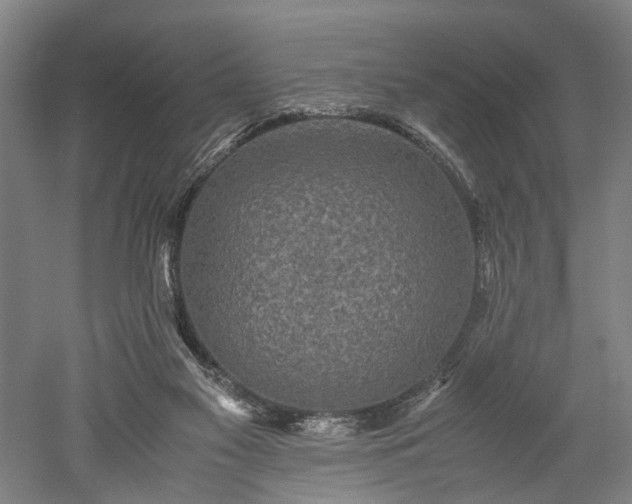 X0000052920117200507151601
