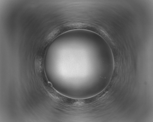 X0000052920119200507151601