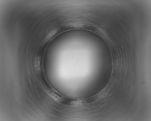 X0000052920120200507151601