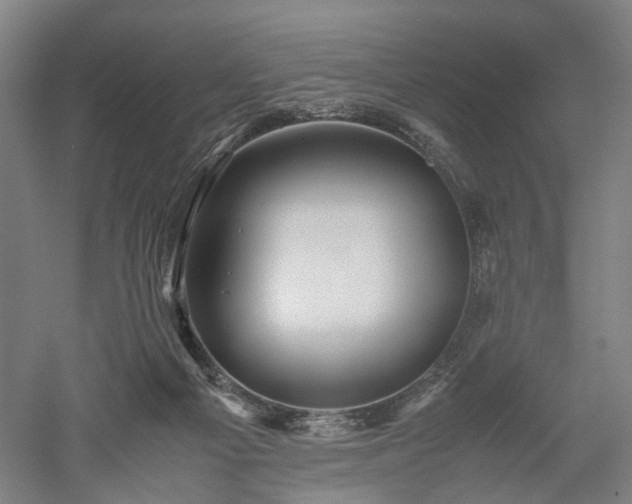 X0000052920121200507151600