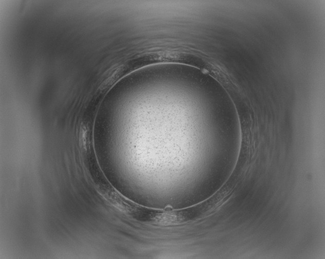 X0000052920123200507151600