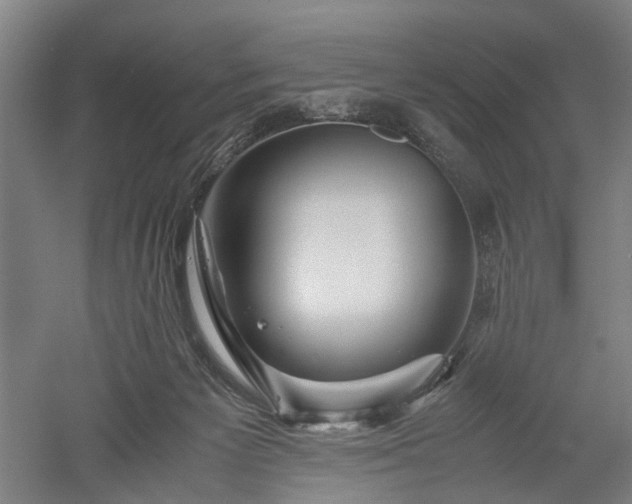 X0000052920125200507151600
