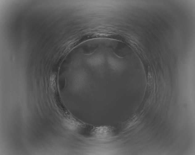 X0000052920127200507151600