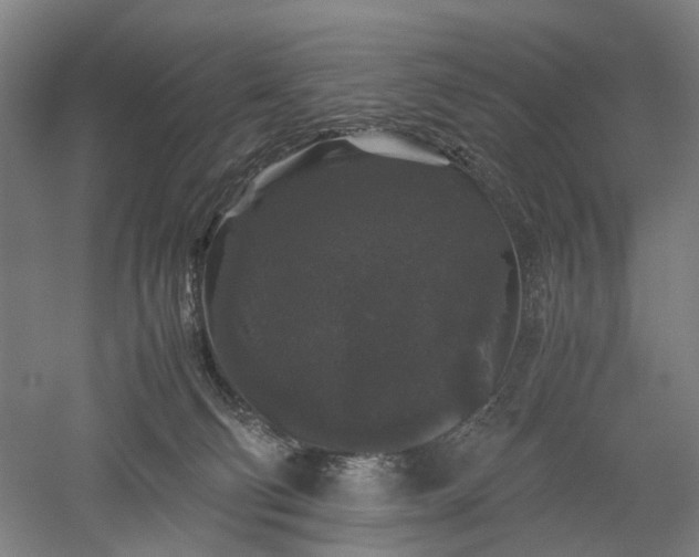 X0000052920130200507151600